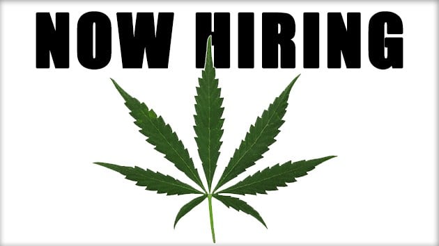 Marijuana jobs. Cannabis career. Weed jobs. 420 careers.