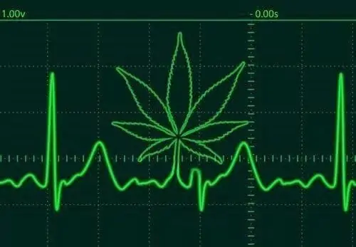 Canada Cannabis Laws
