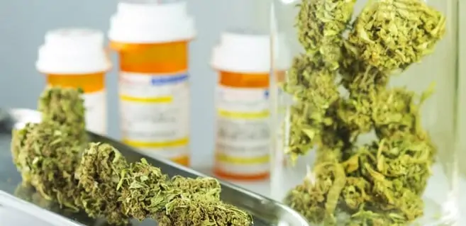 Best Cannabis Dispensaries. Marijuana buds and prescription bottles.