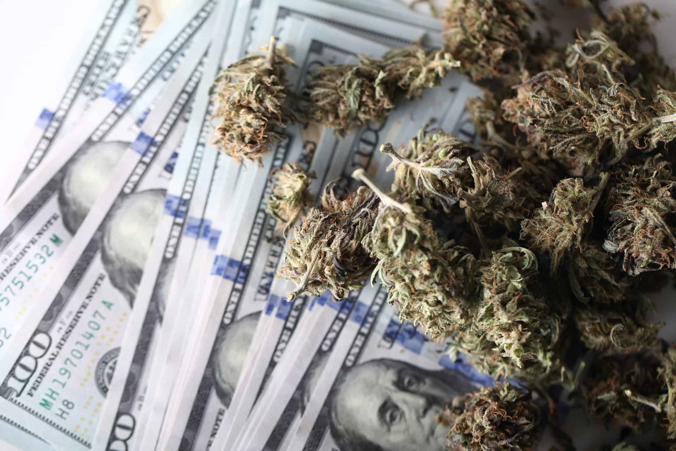 How to Make Cannabis Money