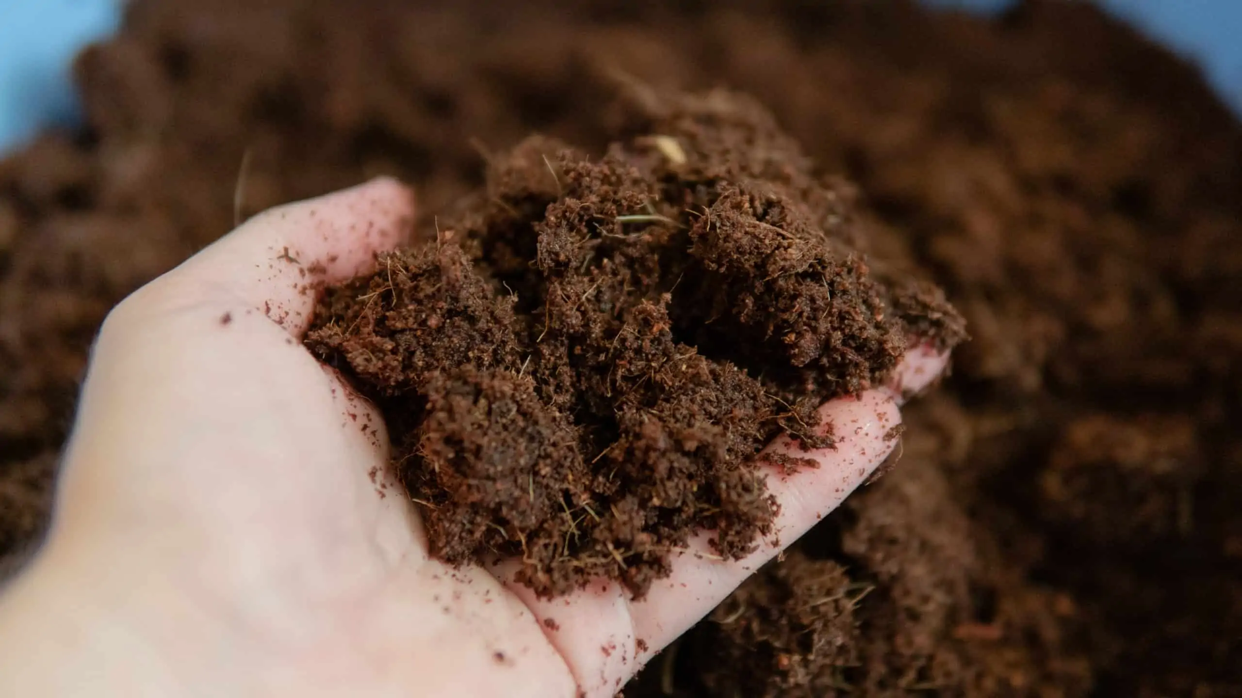Marijuana Growing Soils