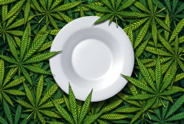 white plate with cannabis leaves, top marijuana recipes