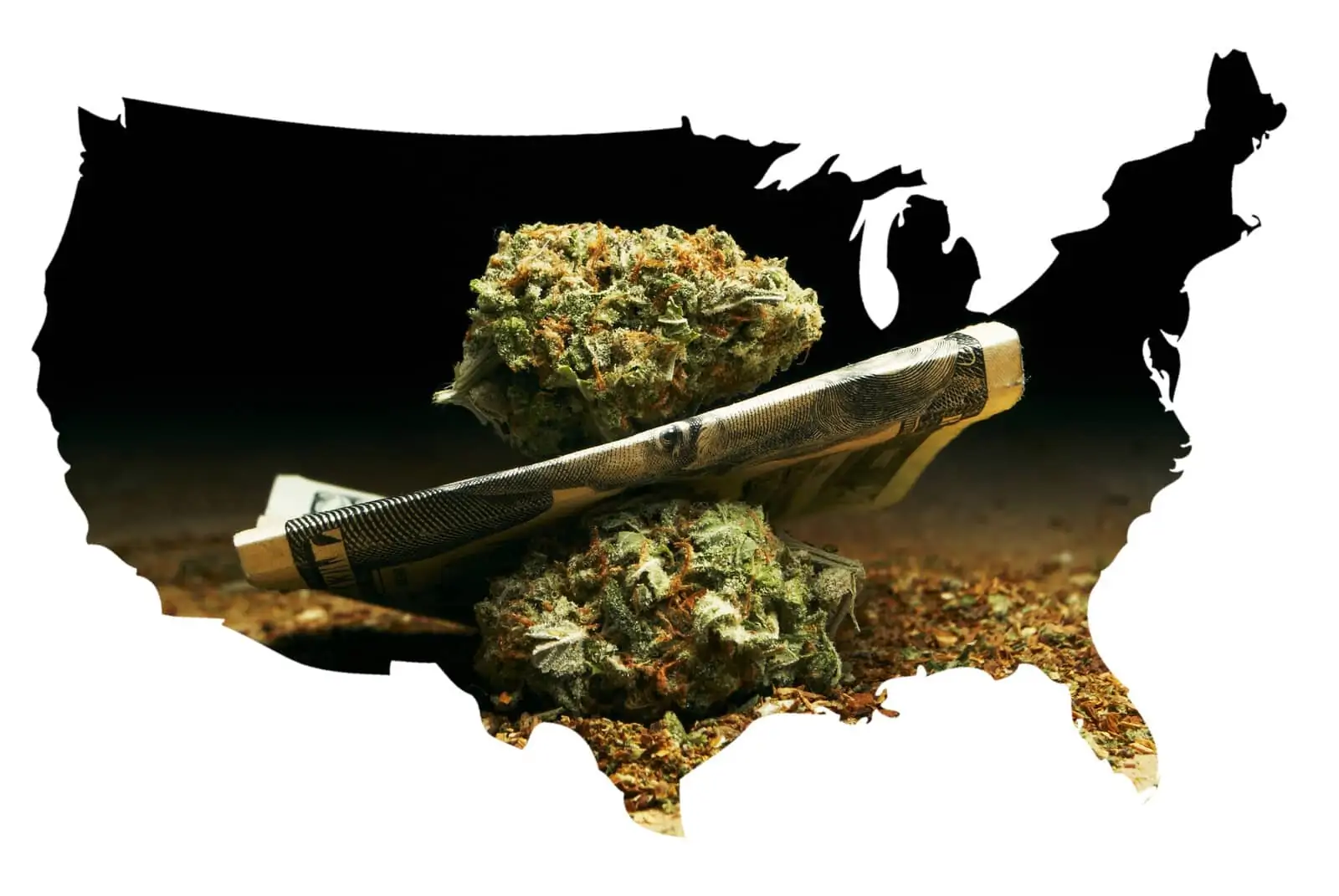 Medical Marijuana States: The Ever-Changing Map