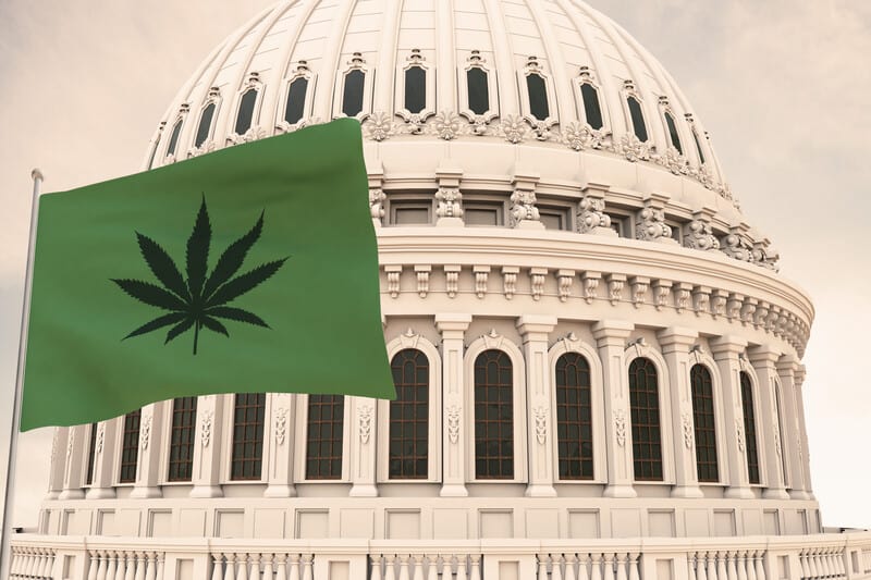 marijuana flag, capitol building, history of medical marijuana