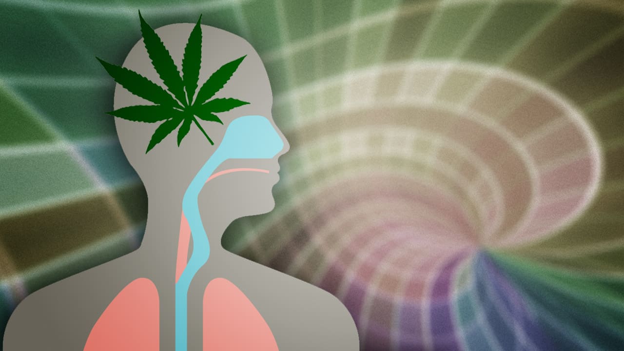 Medical Marijuana and How to Use It to Treat Insomnia. Human body with pot leaf.