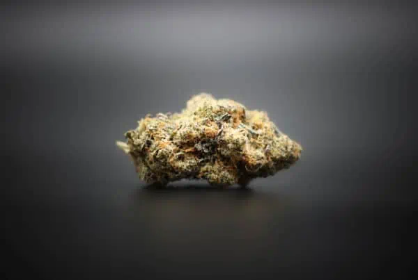 macro of cannabis bud, requirements for a medical cannabis card