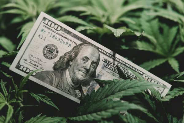 Tax Revenues from Marijuana Legalization. $100 bill on weed plant.