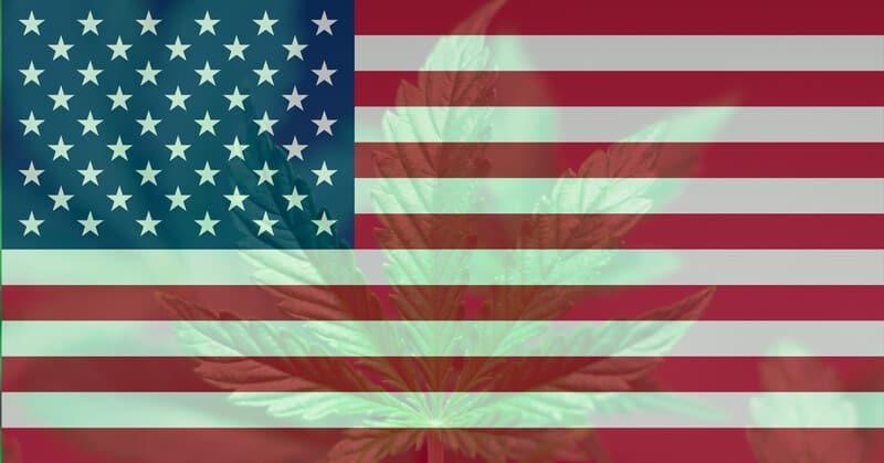 Cannabis Legalization in November