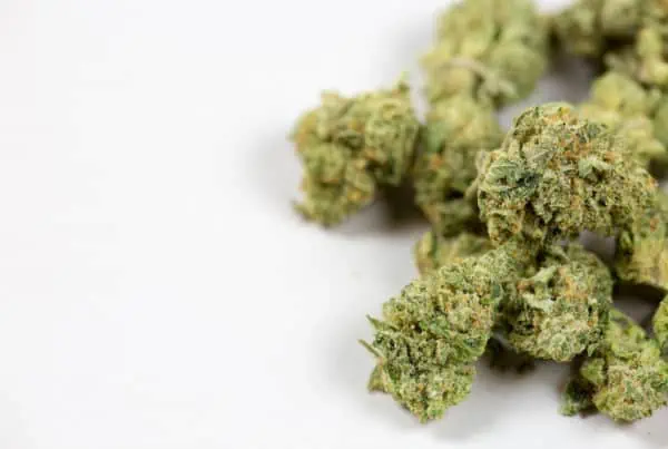 close up of marijuana bud on white background, decrease in youth marijuana abuse