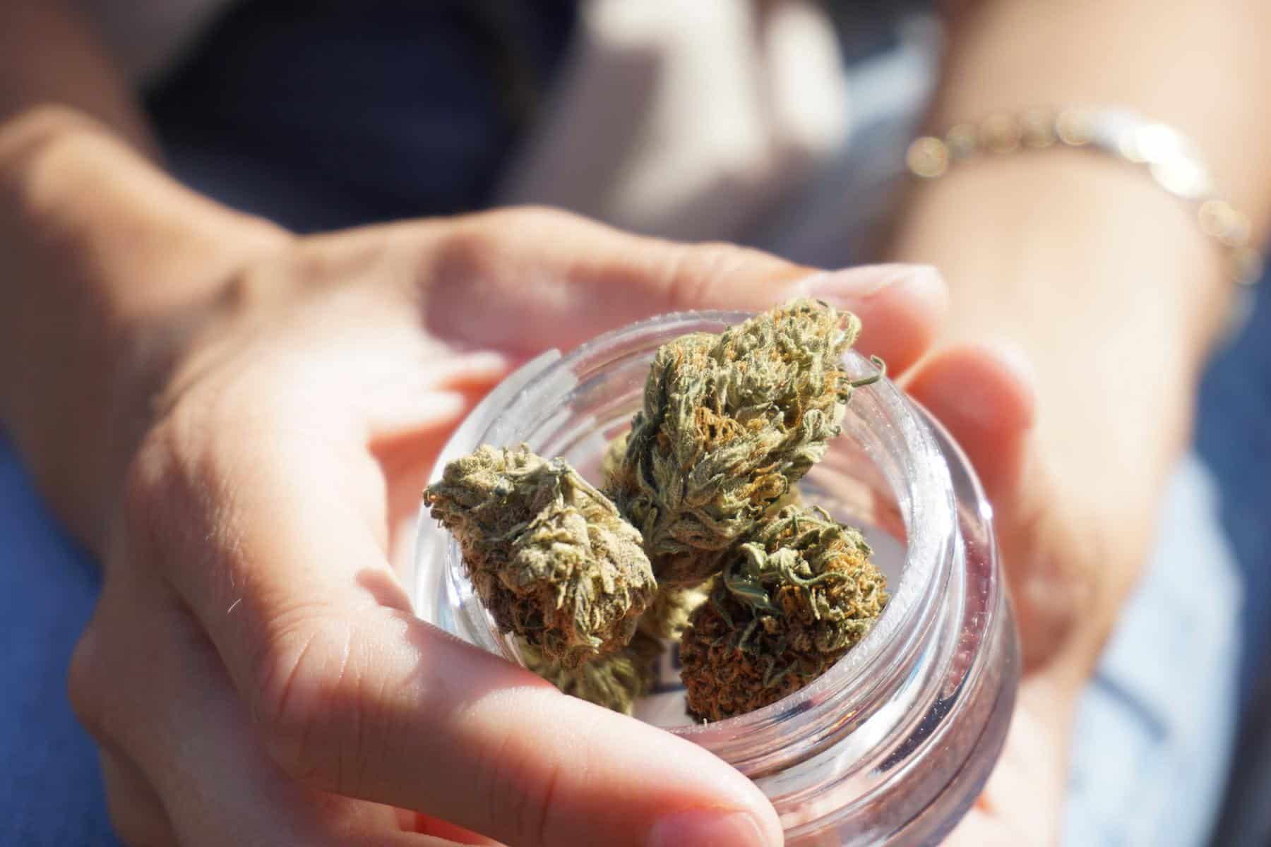 How To Pursue a Budtender Career