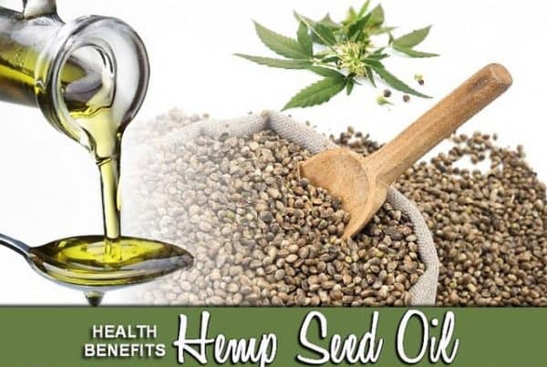Top Advantages of Hemp Seed Oil Use. Seeds with wooden spoon.