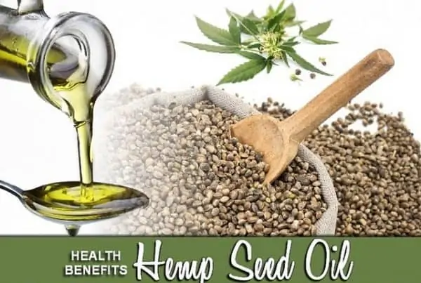 Top Advantages of Hemp Seed Oil Use. Seeds with wooden spoon.