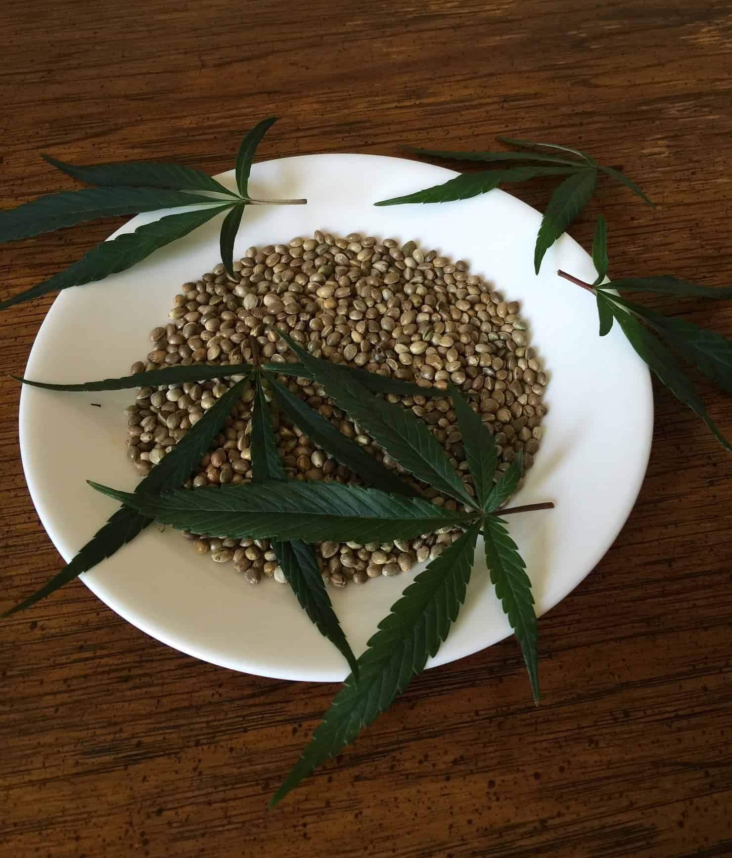 How do they feminize cannabis seeds