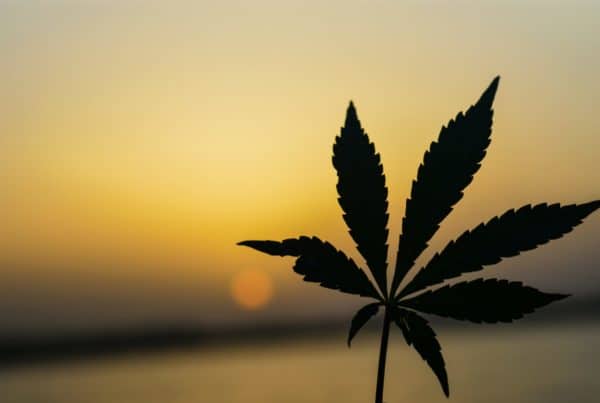 Medical Cannabis and Depression. Cannabis leaf.