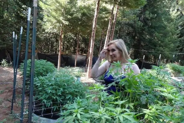 Reasons People Moving to Legal Marijuana States. Women standing around pot plants.