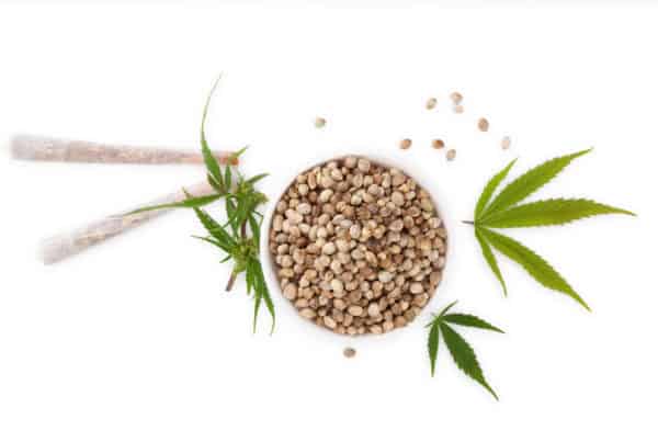 cannabis seeds, marijuana leaves and joint on isolated white, storing marijuana seeds