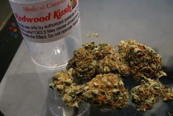 Elderly Marijuana Patients and What They Should Know. Redwood kush weed.