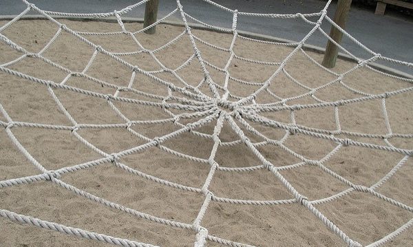 web made from rope, Charlotte web law