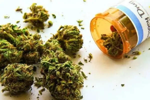 Top Medical Benefits for your Health. Pill bottle and buds.