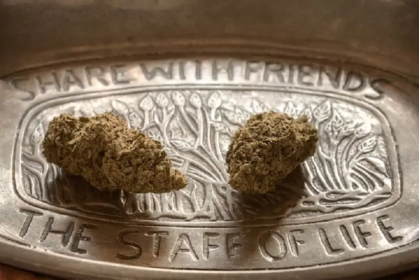 Reducing Paranoia after Marijuana Consumption. Weed buds on ashtray.