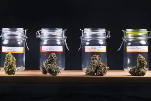 How To Identify Bad Medical Marijuana Products