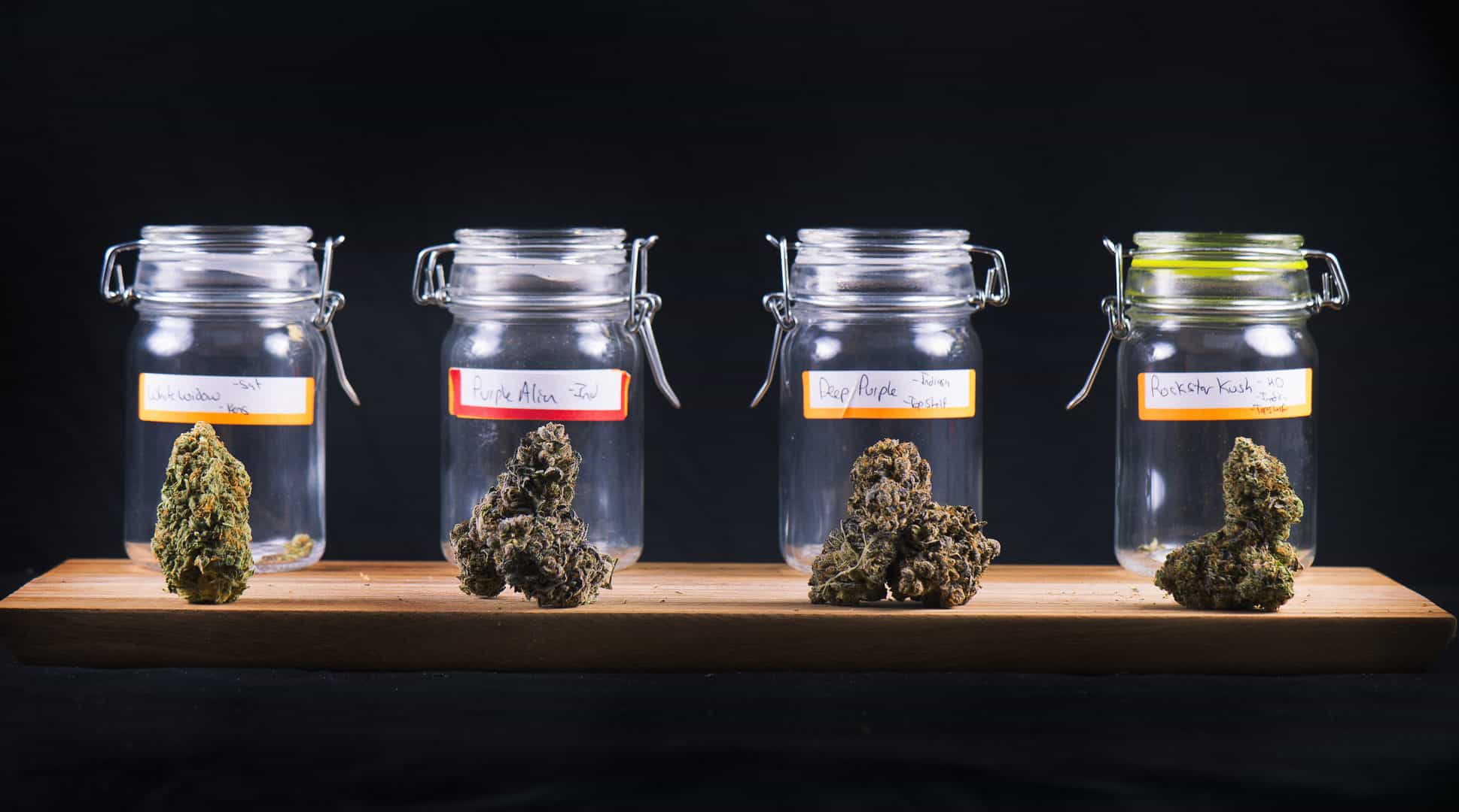 How To Identify Bad Medical Marijuana Products