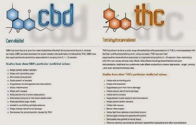 Why More Psychoactive Results for THC than CBD? 1 Why More Psychoactive Properties for THC than CBD?. Charts of CBD and THC.
