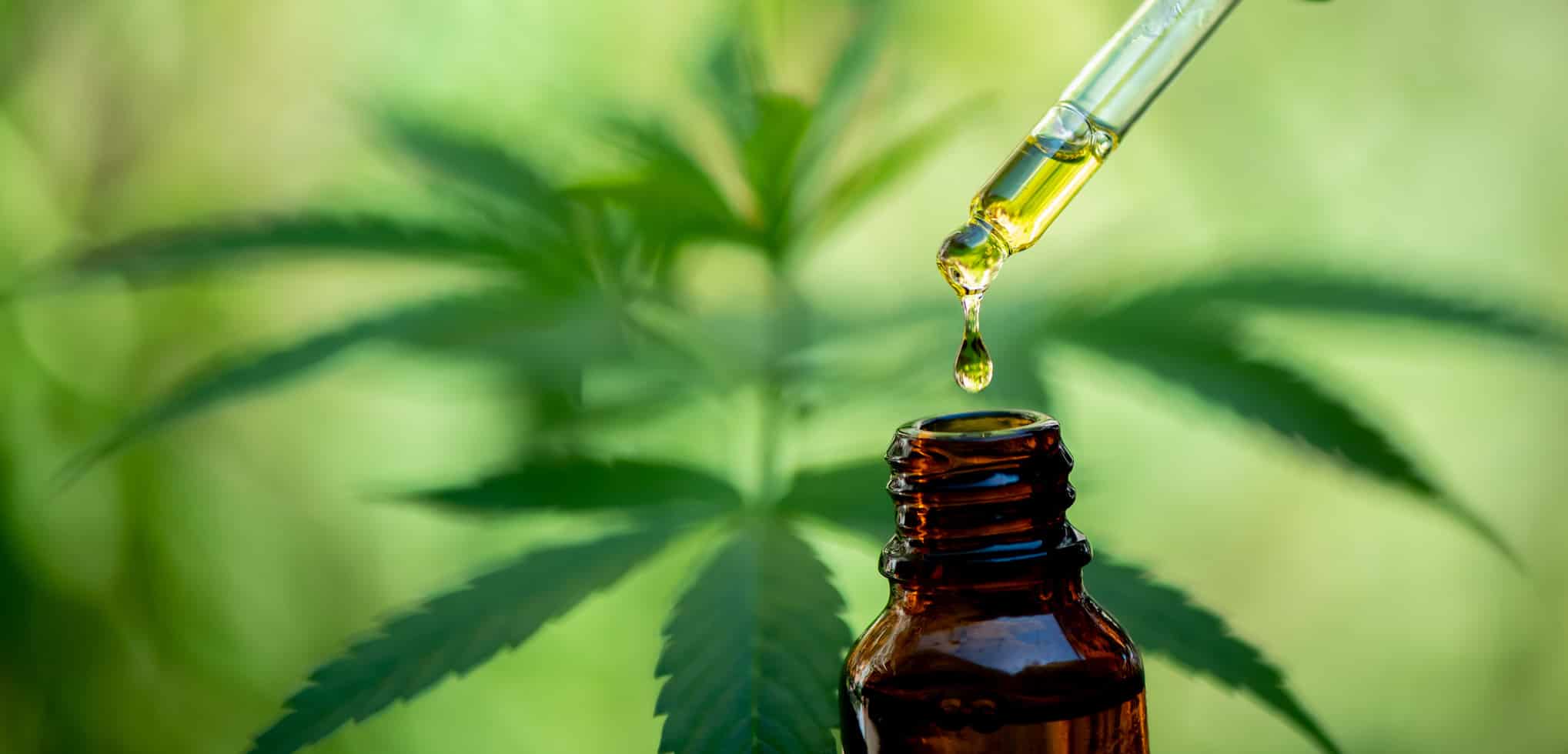 Why More Psychoactive Results for THC than CBD?