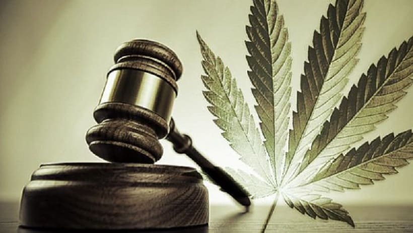 Legal Cannabis Industry: Landing a Job