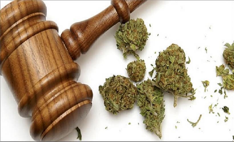 Main Reasons For Governments To Legalize Marijuana. Mallet with marijuana buds. 