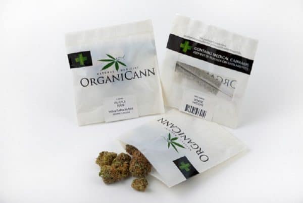 Grow Cannabis: Pest Management Methods. Packets of Organicann.