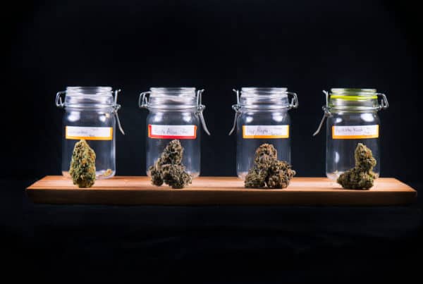 cannabis flower in jars,
