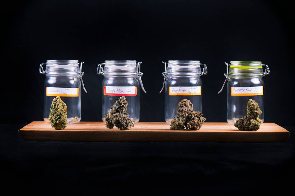 Comparing Medical and Recreational Cannabis Dispensaries