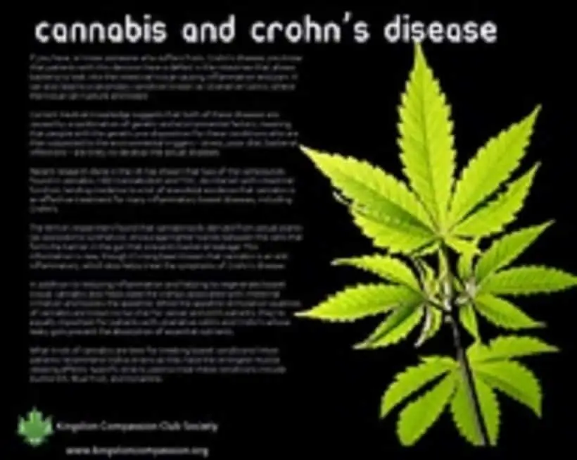 Medical Marijuana and Crohn’s Disease