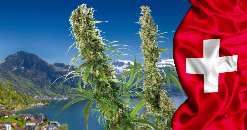 Switzerland Opens the Door to Cannabis. Swiss flag and mountains.
