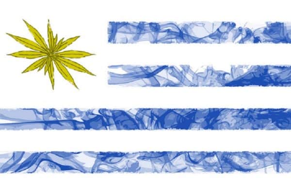 Uruguay Cannabis Sales Go Through The Roof. Uruguay flag.