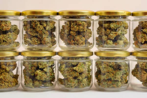 cannabis buds in glass jars, cannabis storage