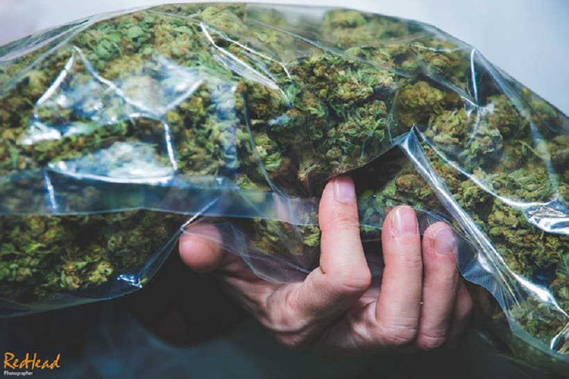 Proposed Federal Marijuana Legislation Introduced by Booker