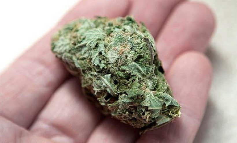 Marijuana Legalization and its Economic Benefits