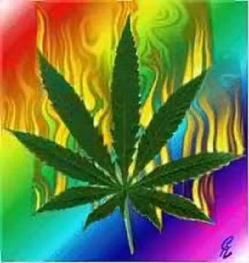 Marijuana Training