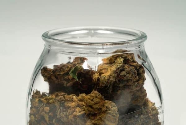 jar of cannabis buds, Wyoming cannabis school