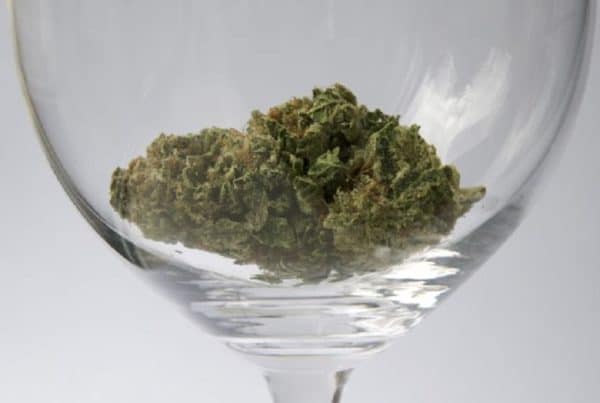 How to Make Marijuana Infused Wine. Bud in a wine glass.