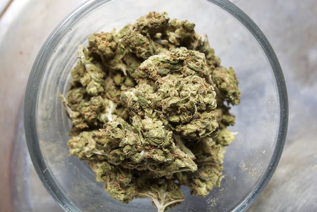 Weed in a glass jar, how much do weed gram prices vary?