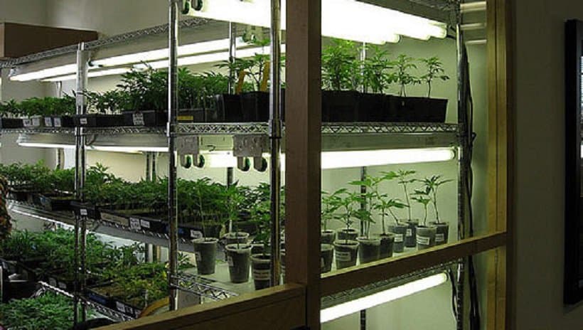 Preparing Marijuana Grow Room for the Winter