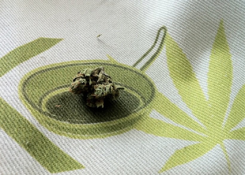 How to Cook With marijuana. Marijuana leaf blanket.