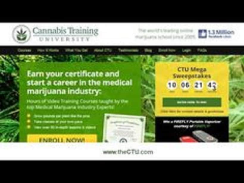 Cannabis Training