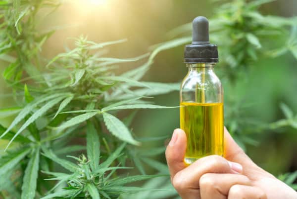 cbd oil tincture in front of cannabis plants, legal cbd approved in several states