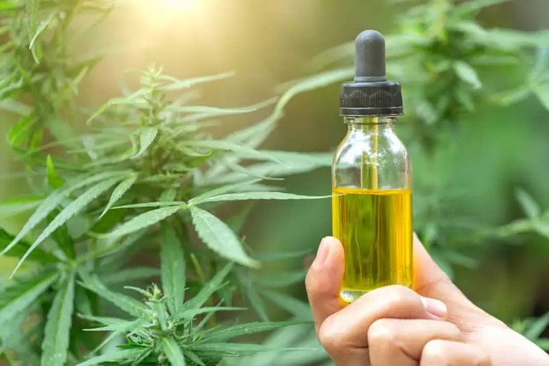 Legal CBD Approved In Several States