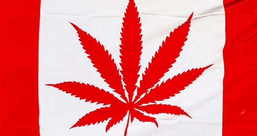 A Look Inside A Canadian Cannabis Company