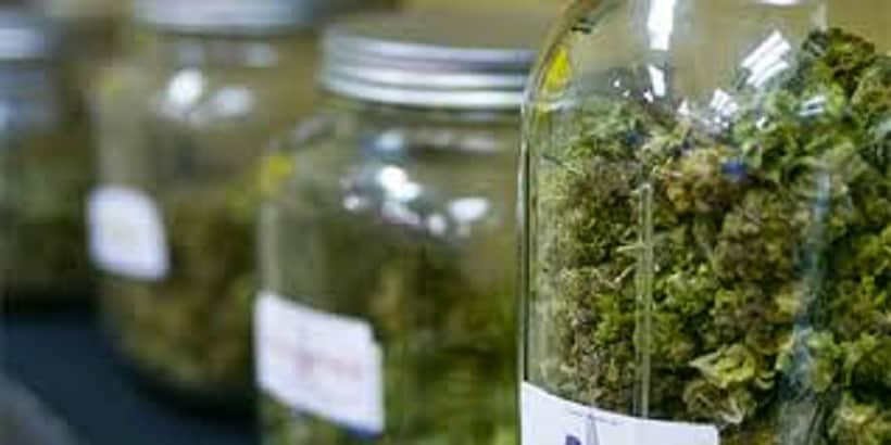 Steps To Succeed as a Marijuana Business Owner. Glass jars of marijuana.